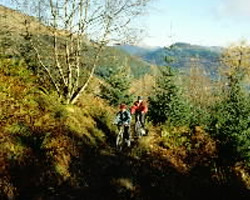 Ardgartan Shore Cycle route